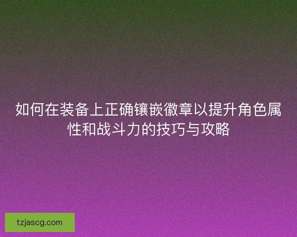 如何在装备上正确镶嵌徽章以提升角色属性和战斗力的技巧与攻略