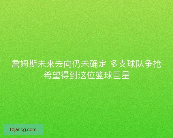 詹姆斯未来去向仍未确定 多支球队争抢希望得到这位篮球巨星